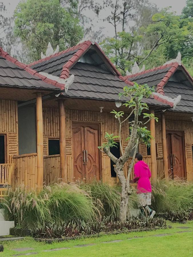 D'yoga Bamboo House Campsite